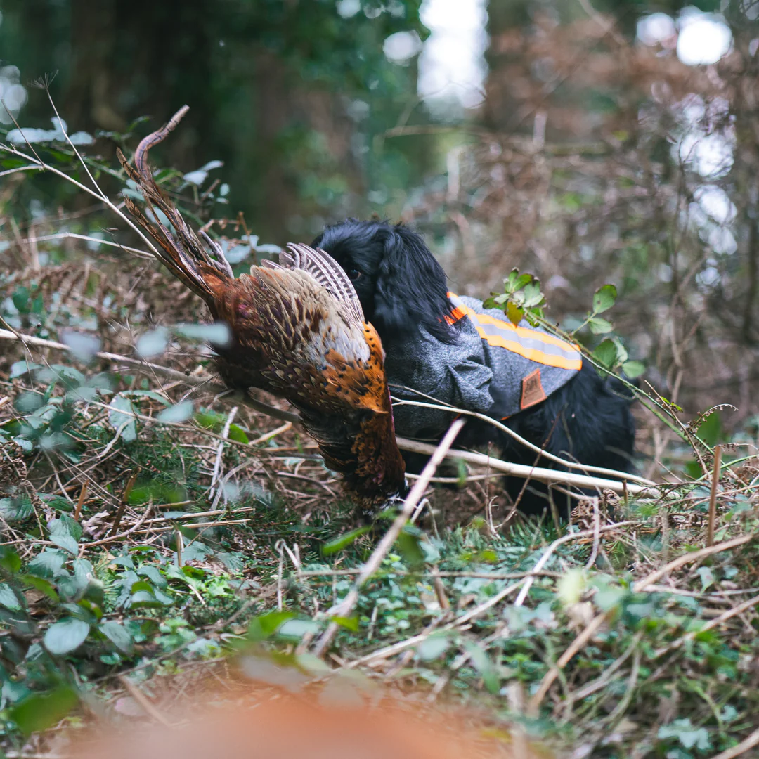 Welcome to Our Store